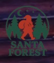https://www.santaforest.com